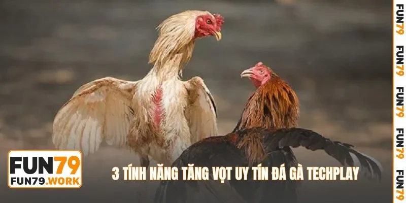 3 tính năng tăng vọt uy tín đá gà Techplay