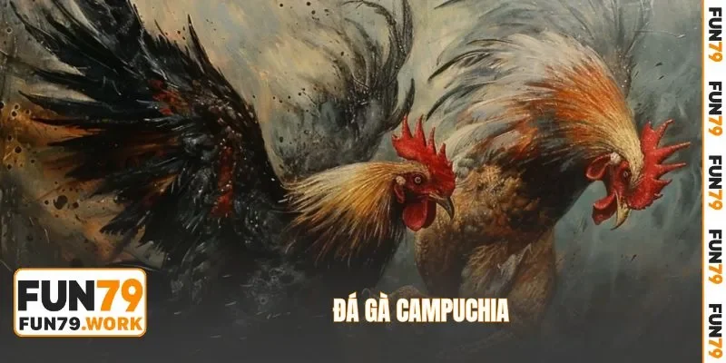 đá gà campuchia