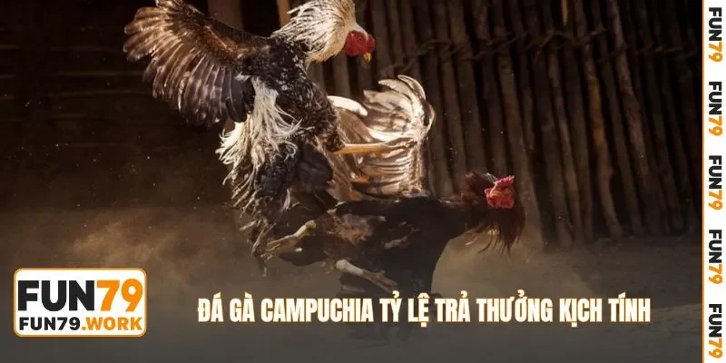 Đá gà Campuchia tỷ lệ trả thưởng kịch tính