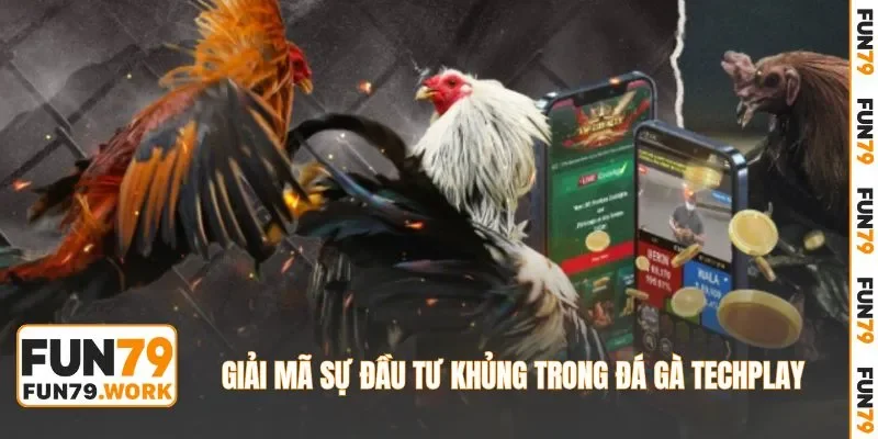 Giải mã sự đầu tư khủng trong đá gà Techplay