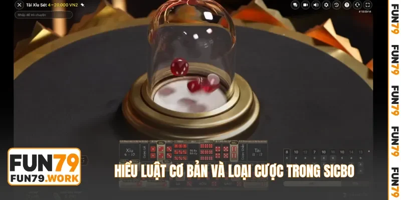 Hiểu luật cơ bản và loại cược trong Sicbo