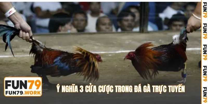 Ý nghĩa 3 cửa cược trong đá gà trực tuyến